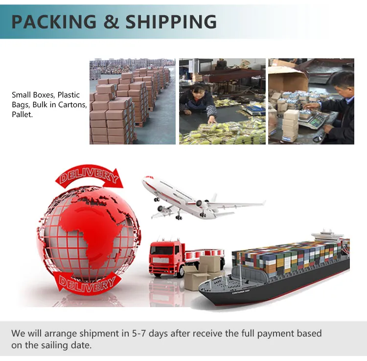 A2-70 304 Stainless Steel DIN 1587 Hexagon Dome Cap Nut M6 Hex Domed Cap Nuts Decorative Cap Nuts