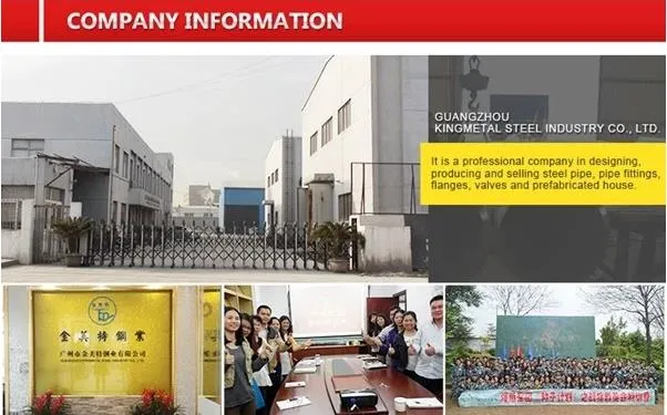 ASTM A182 F53 Super Duplex Steel Weld Neck Flange