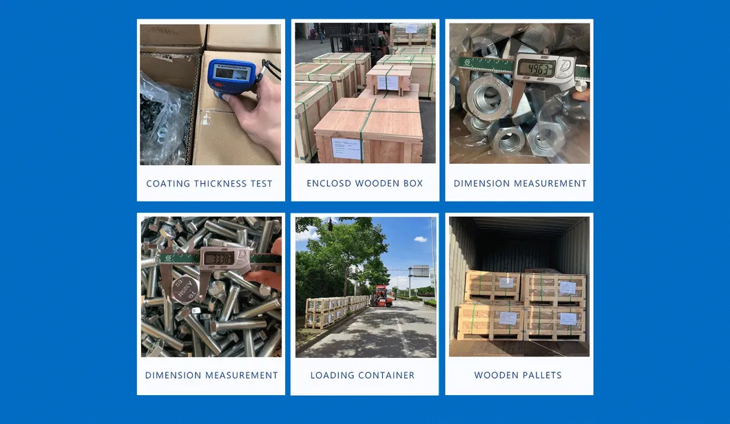 DIN 1587 A2 A4 Stainless Steel SS304 SS316 Acorn Cap Nut