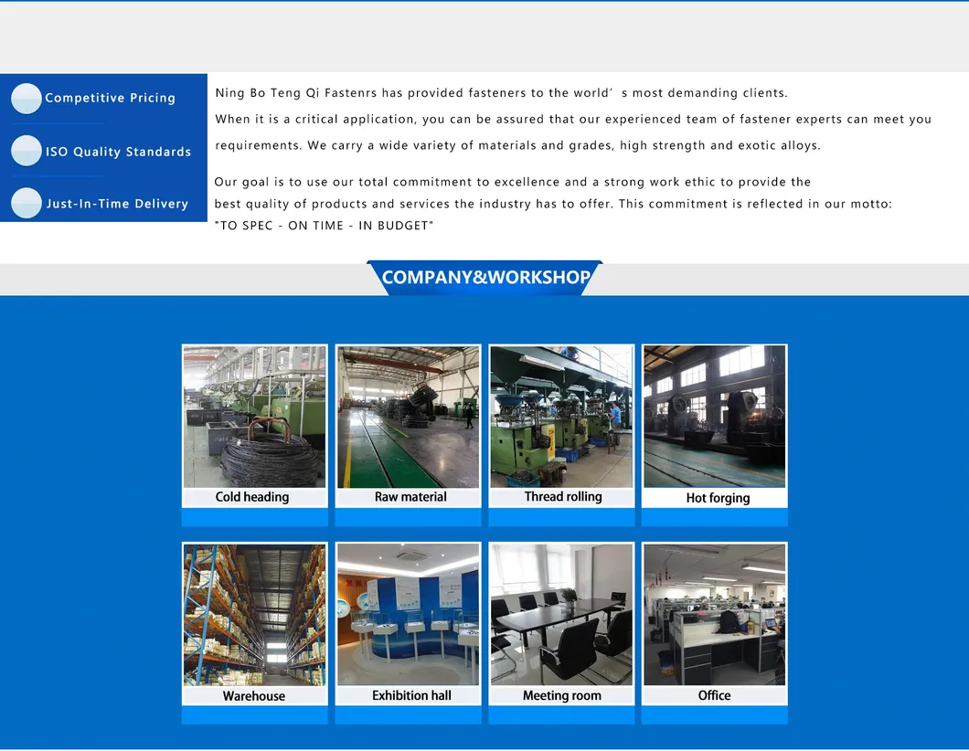 DIN 1587 A2 A4 Stainless Steel SS304 SS316 Acorn Cap Nut