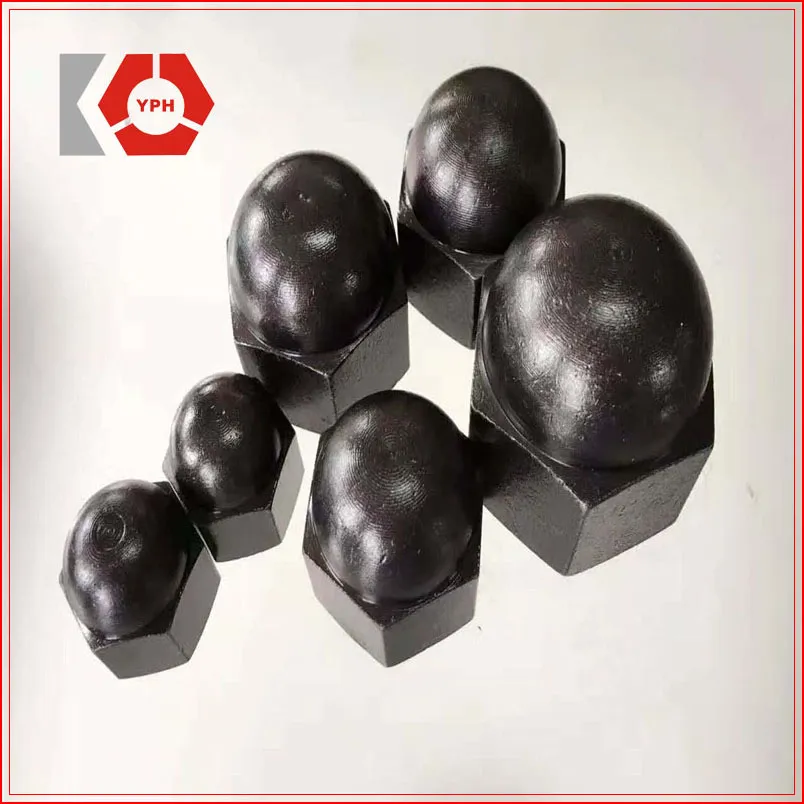 DIN 1587 Stainless Steel Hex Cap Nut for Fasteners Black