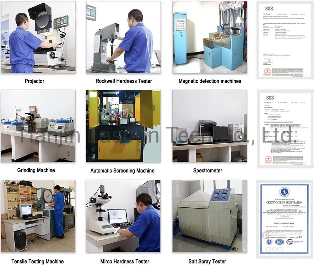 Jisb 1166 304 T Bolts Zb 8.8 T-Bolt M12 A4 70 T Bolt Black Zinc Plated T Bolts DIN188 Stainless Steel 304 T Bolts Hammer Head Bolts