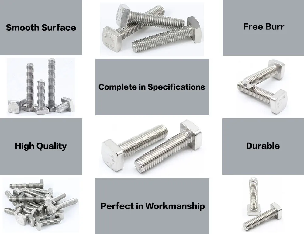 Jisb 1166 304 T Bolts Zb 8.8 T-Bolt M12 A4 70 T Bolt Black Zinc Plated T Bolts DIN188 Stainless Steel 304 T Bolts Hammer Head Bolts