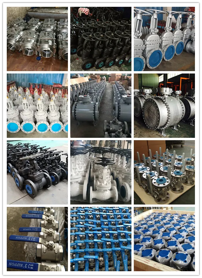Stainless Steel Lift Type Swing Type Check Valve Pn16/Class 150