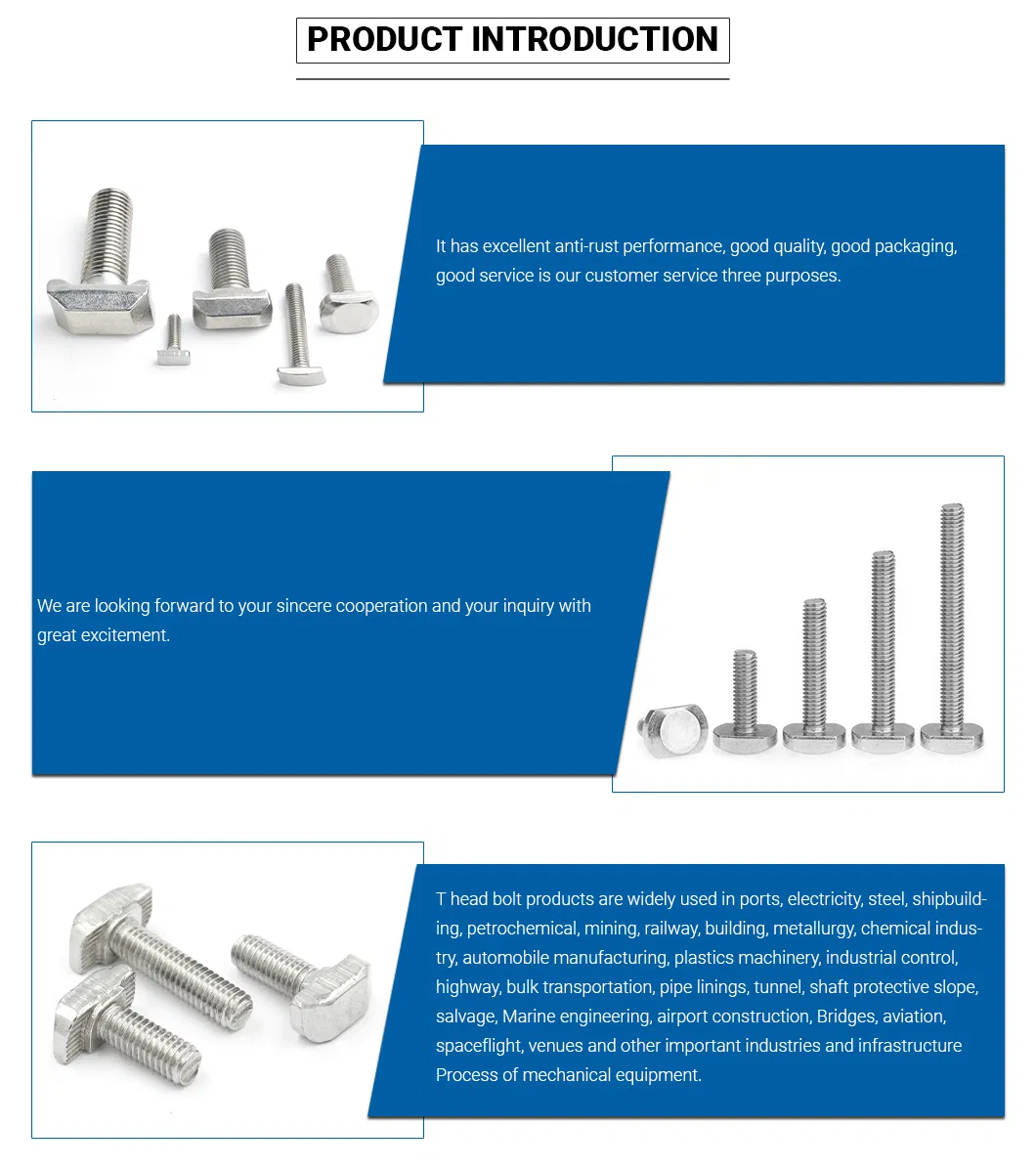 Stainless Steel SS316 T Bolts 304 Hammer Bolt