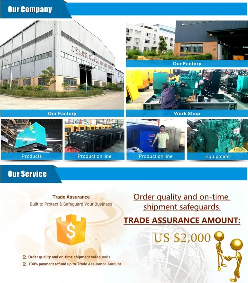 Water Cooled 250kVA Ricardo Engine Diesel Electirc Generators